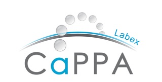 Labex CaPPA